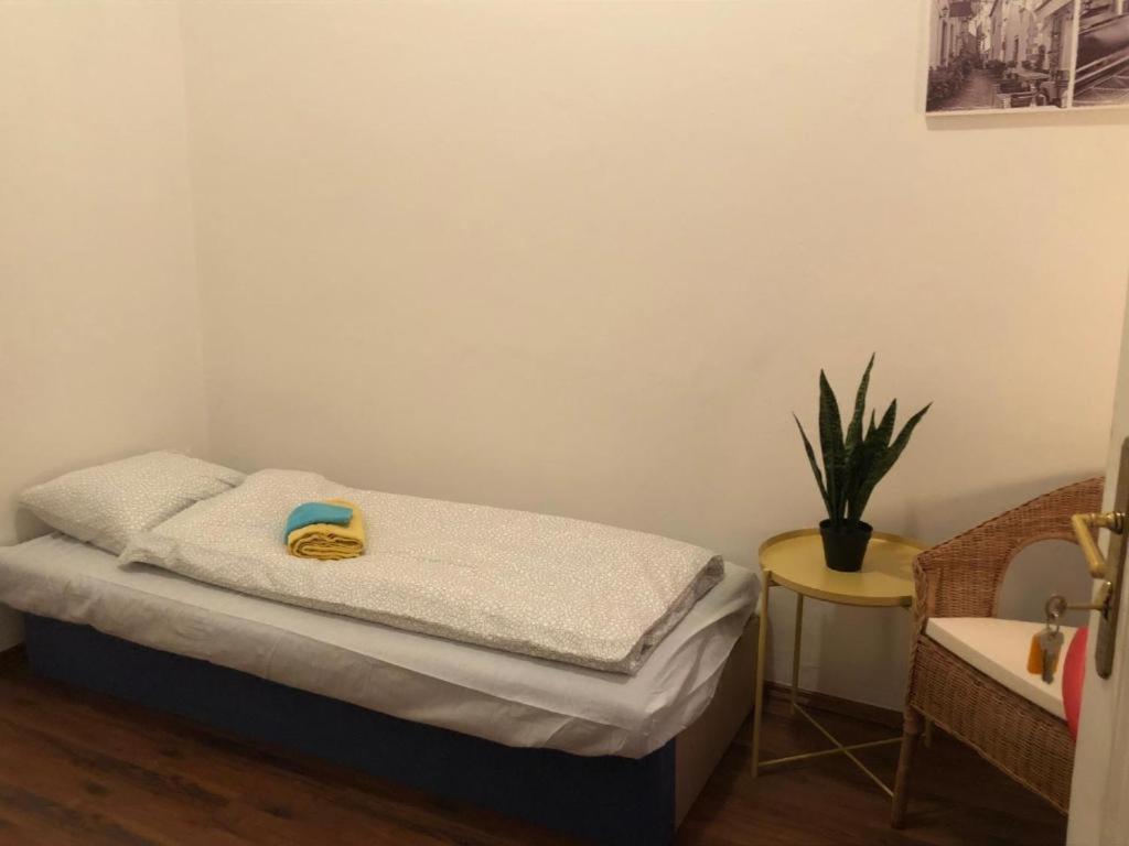 Apatrhostel Brno Buitenkant foto